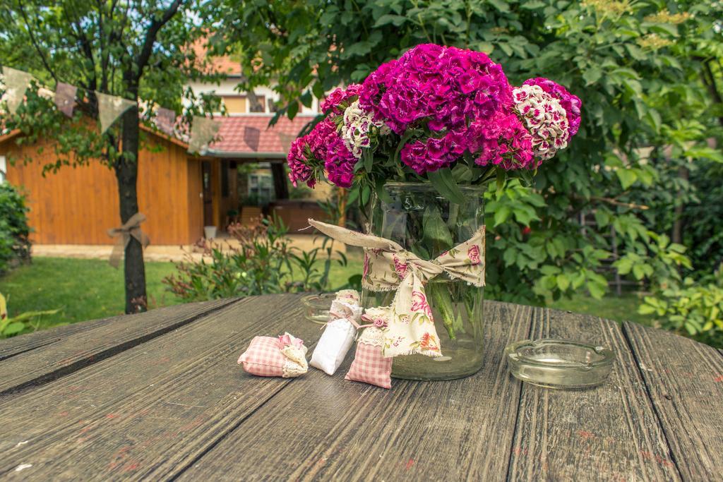 Ana Guesthouse Senta Екстериор снимка