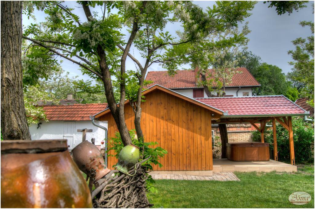 Ana Guesthouse Senta Екстериор снимка