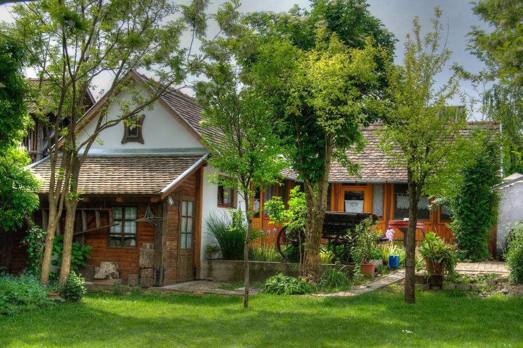 Ana Guesthouse Senta Екстериор снимка